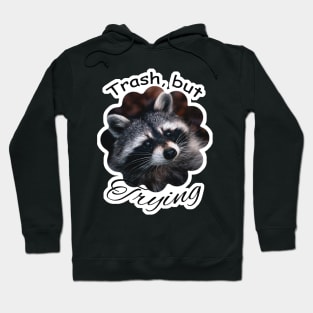 Raccoon Trash but Trying Graphic design Hoodie